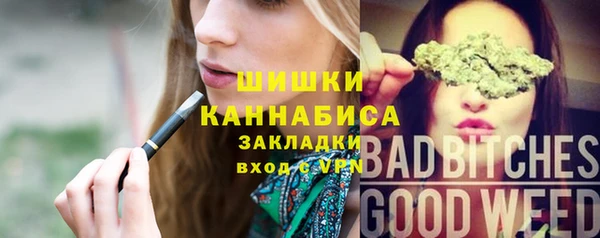 ПСИЛОЦИБИНОВЫЕ ГРИБЫ Балабаново