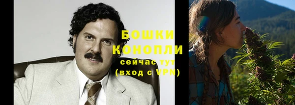 ПСИЛОЦИБИНОВЫЕ ГРИБЫ Балабаново