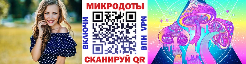 omg сайт  наркота  Волгоград  Галлюциногенные грибы Psilocybine cubensis 